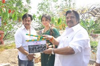 Rani Ranamma Movie Opening